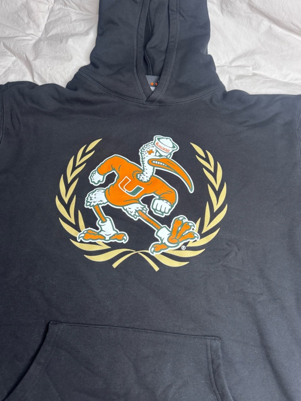 Modelo USA x SLAM Collab Hoodie Miami Hurricanes March Madness Sebastian Ibis - Picture 13 of 17